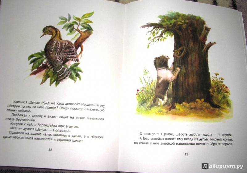 Иллюстрация 35 из 58 для Первая охота - Виталий Бианки | Лабиринт - книги. Источник: Бог в помощь