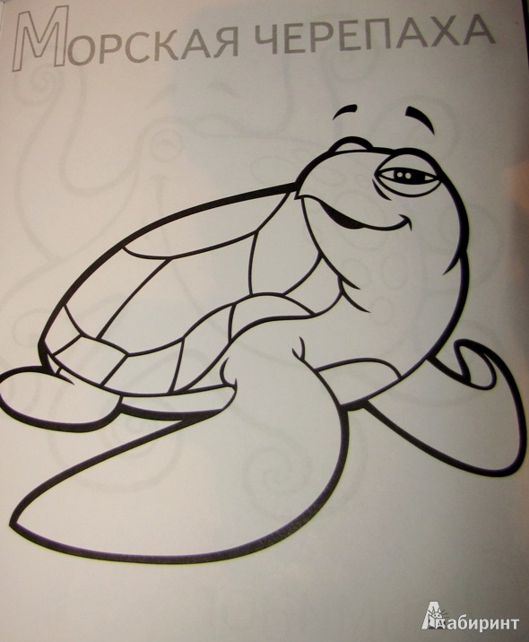 Иллюстрация 3 из 14 для Забавные морские животные | Лабиринт - книги. Источник: С.  Надежда