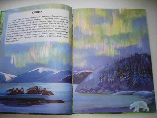 Иллюстрация 13 из 40 для Азбука живой природы - Александр Барков | Лабиринт - книги. Источник: Осьминожка