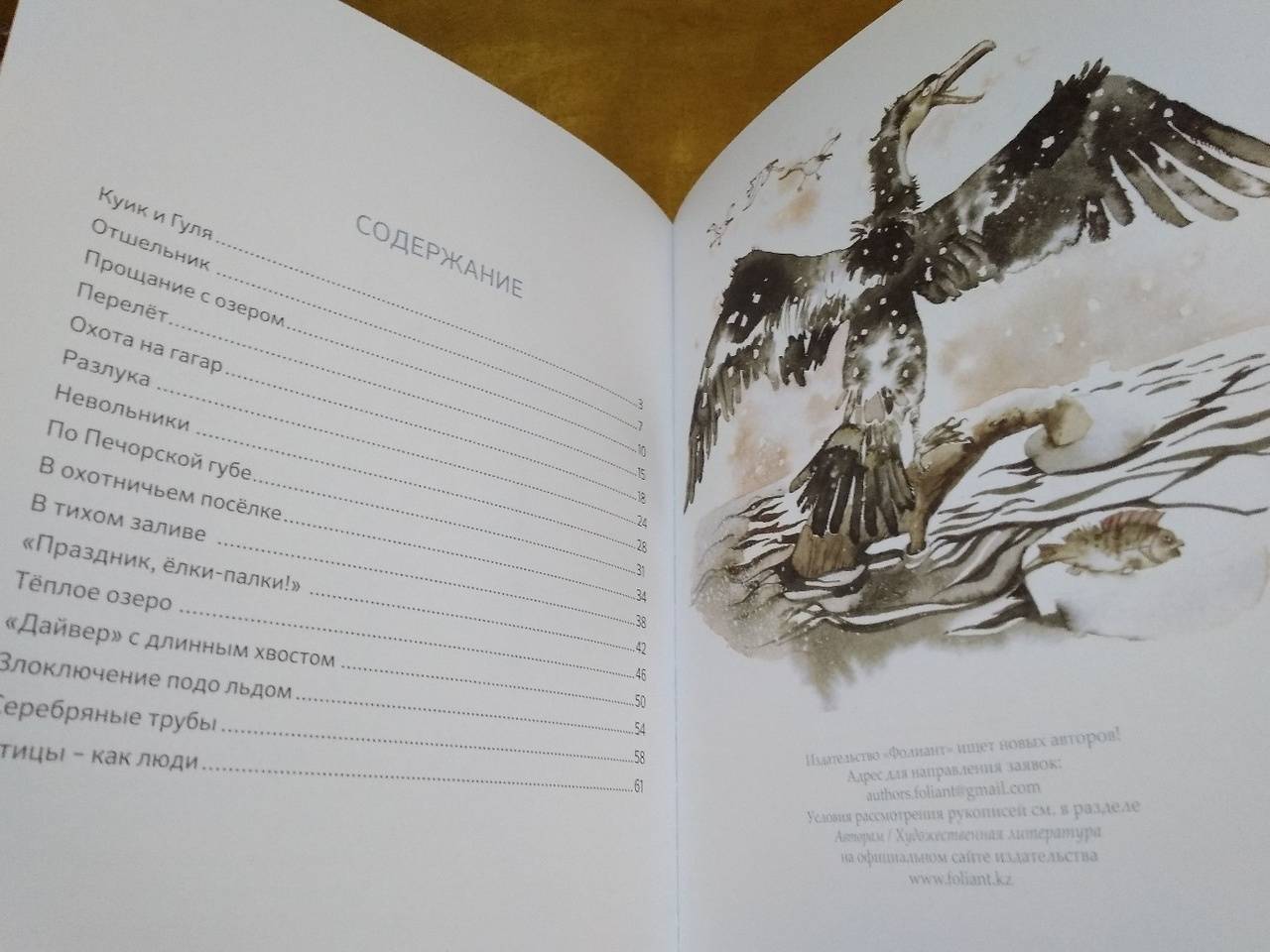 Иллюстрация 22 из 118 для Жила за морем Гагара - Валерий Кастрючин | Лабиринт - книги. Источник: Исмайылова Марина