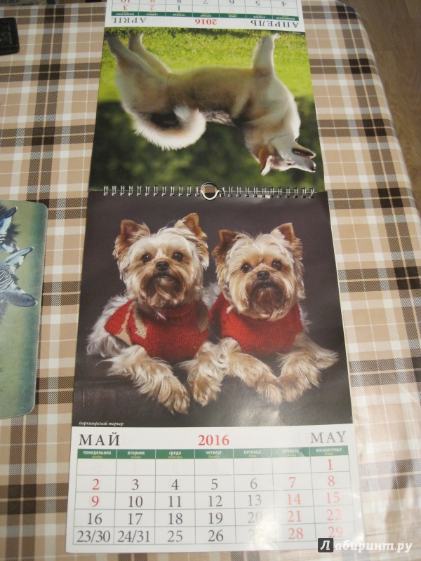 Иллюстрация 6 из 8 для Календарь настенный на 2016 год "Собаки" (11606) | Лабиринт - сувениры. Источник: Наталья