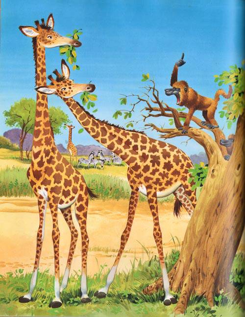 Иллюстрация 33 из 36 для Веселые истории о животных - Пьеранджела Фьорани | Лабиринт - книги. Источник: Nefa