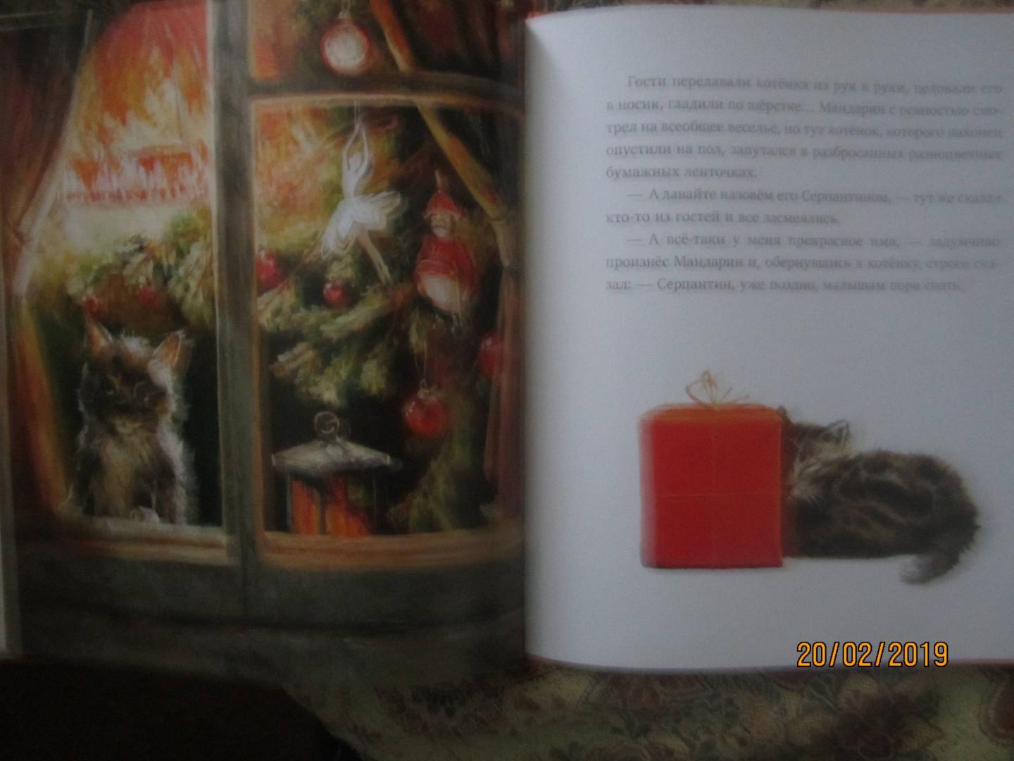 Иллюстрация 146 из 182 для Елка, кот и Новый год - Мартынова, Василиади | Лабиринт - книги. Источник: Sofiya