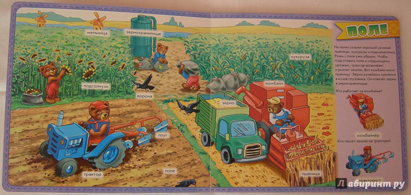 Иллюстрация 5 из 6 для На ферме. Мой первый словарик | Лабиринт - книги. Источник: Волынкина  Алена
