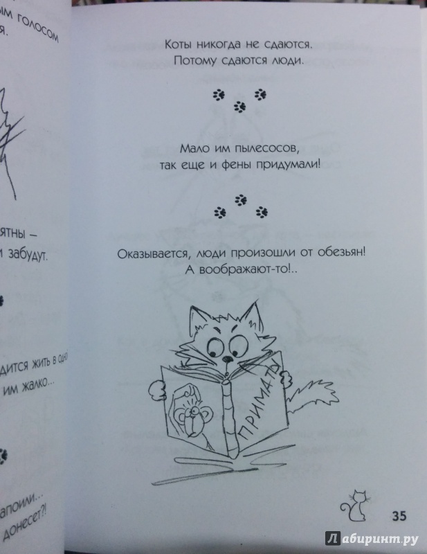 Иллюстрация 22 из 22 для О чем молчат коты. Записки на опилках | Лабиринт - книги. Источник: Annexiss