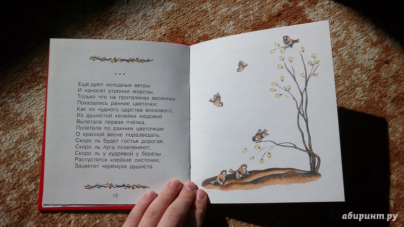 Иллюстрация 36 из 42 для Стихи - Александр Пушкин | Лабиринт - книги. Источник: Ивашкина  Анна Андреевна