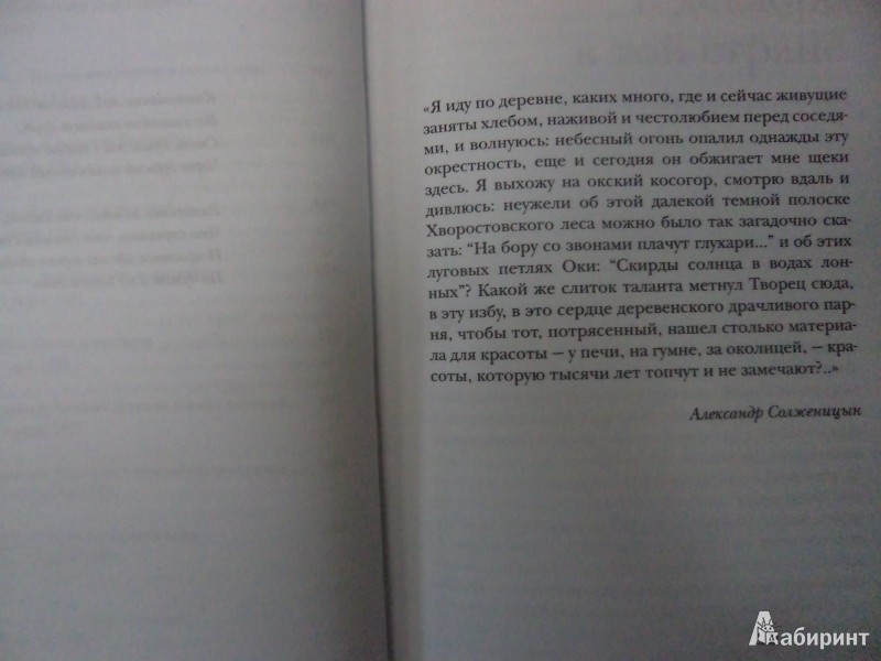 Иллюстрация 3 из 6 для Есенин: путь и беспутье - Алла Марченко | Лабиринт - книги. Источник: Karfagen