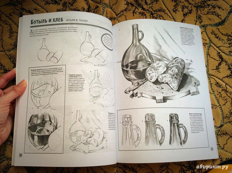 Иллюстрация 18 из 27 для Лучшие уроки. Основы рисования | Лабиринт - книги. Источник: а.а.и.