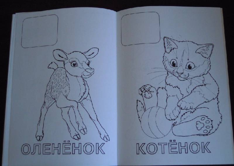 Иллюстрация 7 из 8 для Книжка с наклейками: Ежик | Лабиринт - книги. Источник: Iwolga