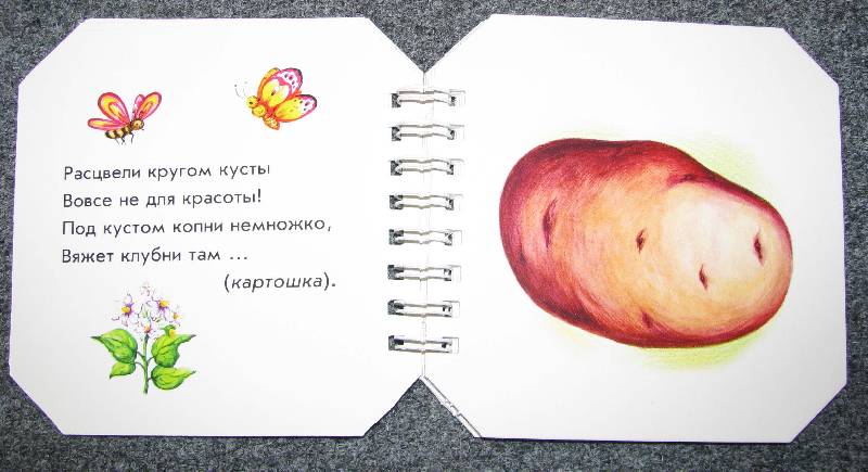 Иллюстрация 5 из 30 для Что в огороде растет - А. Геращенко | Лабиринт - книги. Источник: Апельсинка