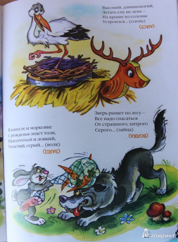 Иллюстрация 3 из 13 для Самая загадочная книга - Владимир Борисов | Лабиринт - книги. Источник: irinka_kiv