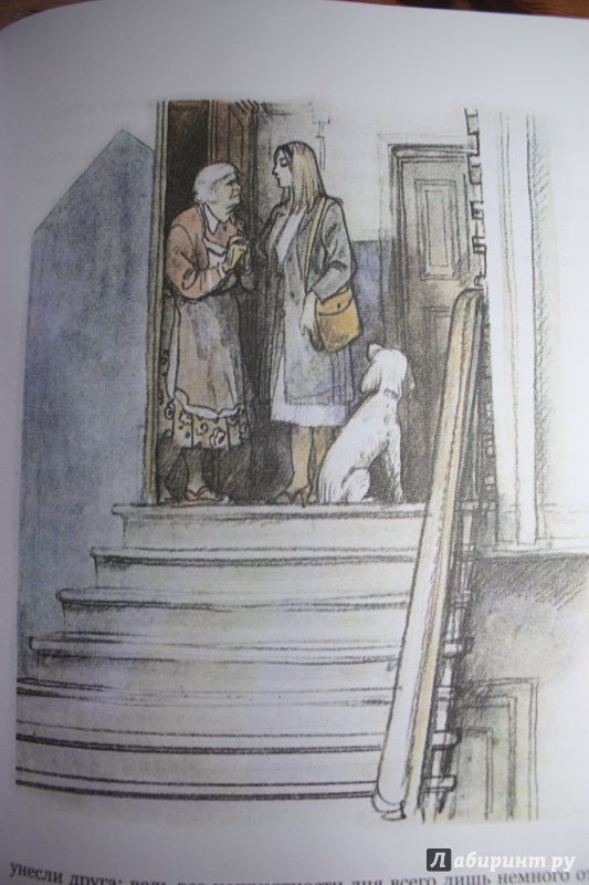 Иллюстрация 78 из 113 для Белый Бим Черное ухо - Гавриил Троепольский | Лабиринт - книги. Источник: Bradbury