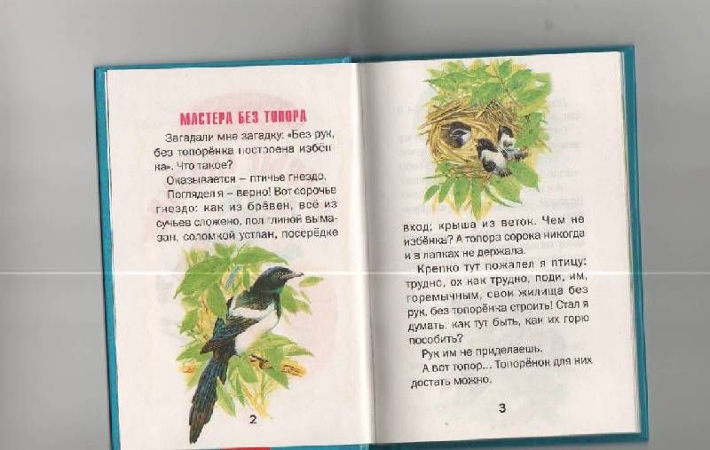 Иллюстрация 1 из 23 для Лесные сказки - Виталий Бианки | Лабиринт - книги. Источник: SVETLANKA