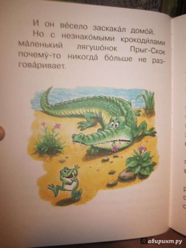 Иллюстрация 24 из 24 для Ребятам о зверятах - Михаил Пляцковский | Лабиринт - книги. Источник: Юлия