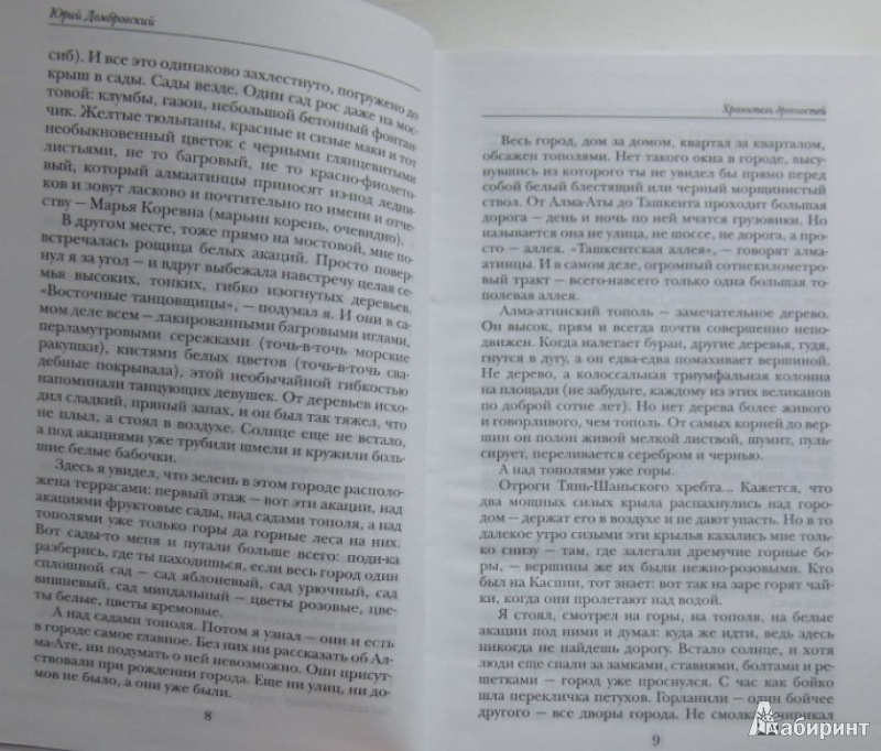 Иллюстрация 6 из 18 для Хранитель древностей - Юрий Домбровский | Лабиринт - книги. Источник: Большой любитель книг