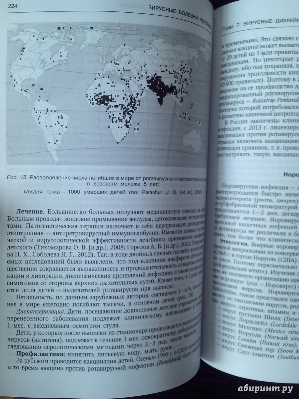 Иллюстрация 12 из 31 для Вирусные болезни человека - Лобзин, Белозеров, Беляева | Лабиринт - книги. Источник: Kukula