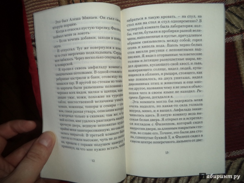 Иллюстрация 6 из 8 для Кулинар Гуров - Илья Бражников | Лабиринт - книги. Источник: Kirill  Badulin