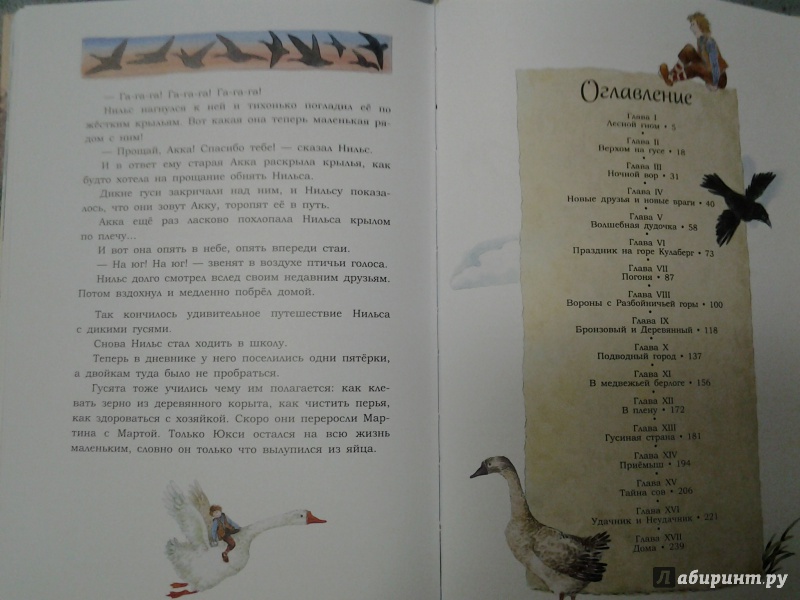 Иллюстрация 31 из 36 для Чудесное путешествие Нильса с дикими гусями - Сельма Лагерлеф | Лабиринт - книги. Источник: Olga