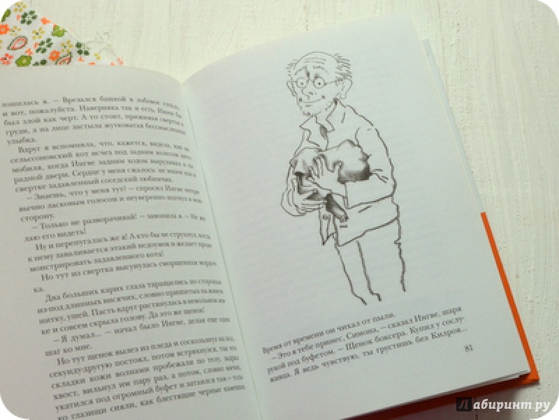 Иллюстрация 13 из 13 для Чудаки и зануды - Ульф Старк | Лабиринт - книги. Источник: anne-d-autriche