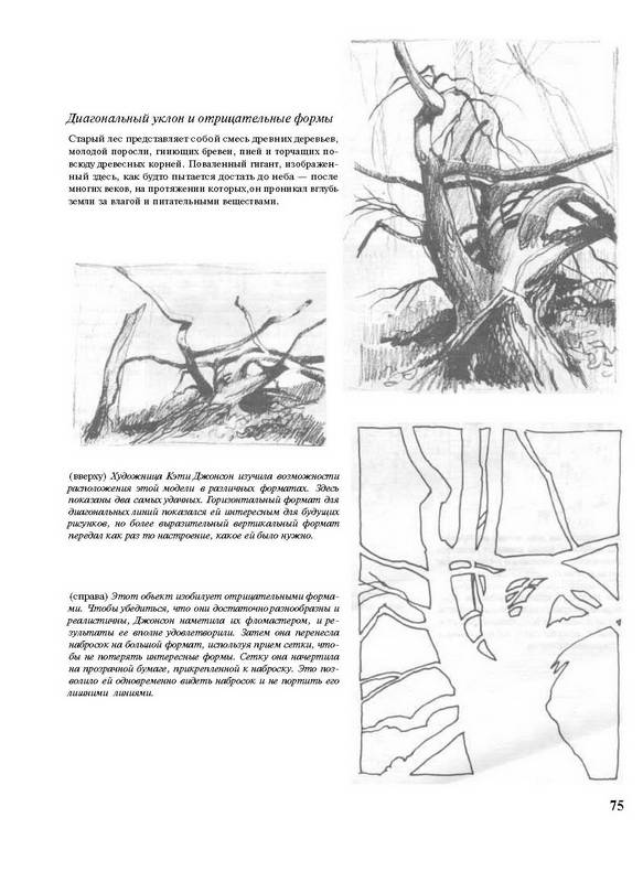 Иллюстрация 32 из 38 для Основы рисования | Лабиринт - книги. Источник: Ялина