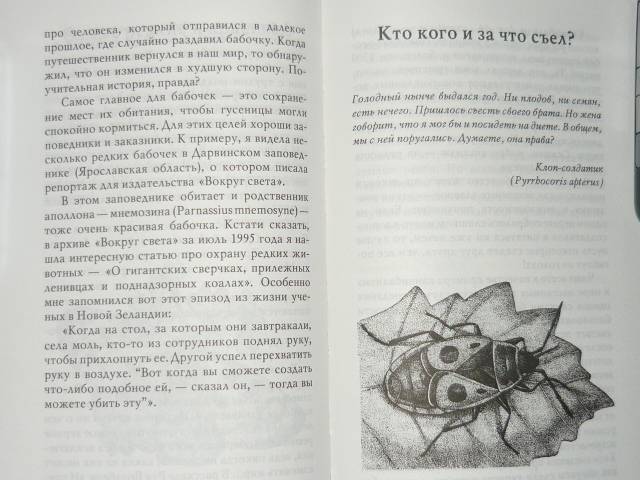 Иллюстрация 23 из 32 для Письма насекомых - Ольга Кувыкина | Лабиринт - книги. Источник: Ромашка:-)