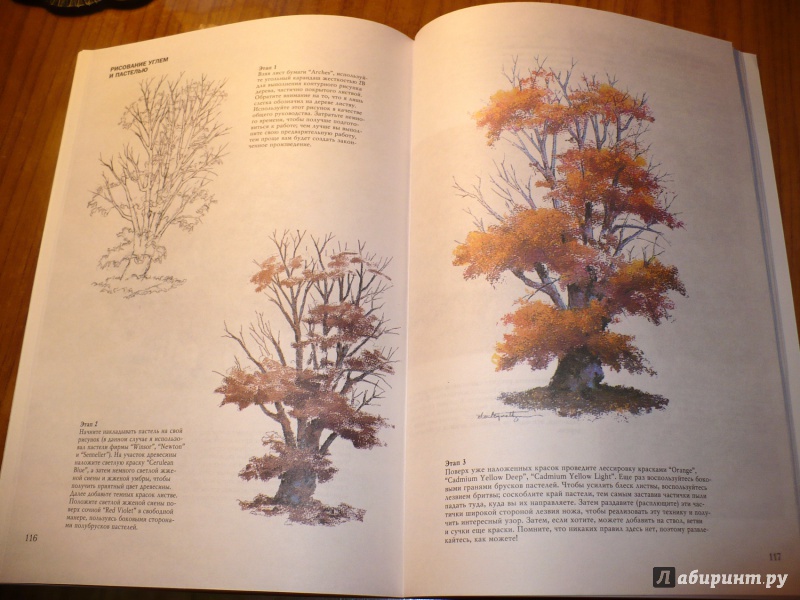 Иллюстрация 43 из 61 для Деревья - Стенли Молцмен | Лабиринт - книги. Источник: Голиков  Сергей Юрьевич