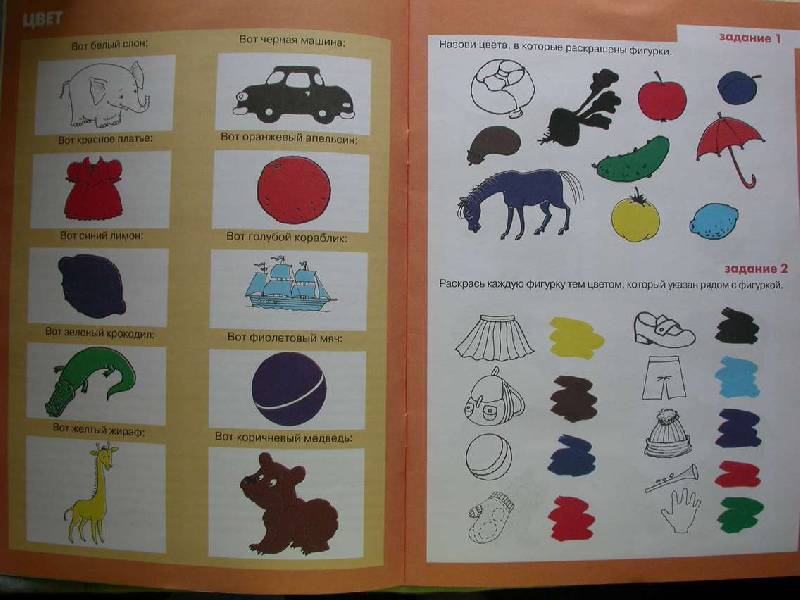 Иллюстрация 7 из 15 для И цвет, и форма, и размер - Ксения Крот | Лабиринт - книги. Источник: САР