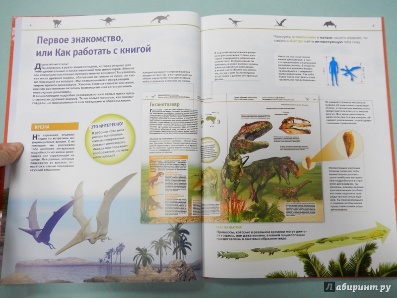 Иллюстрация 4 из 21 для Динозавры - Виктория Владимирова | Лабиринт - книги. Источник: dbyyb