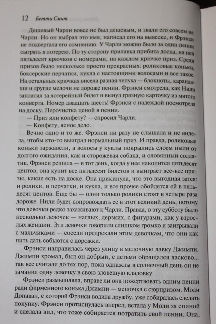 Иллюстрация 14 из 58 для Дерево растет в Бруклине - Бетти Смит | Лабиринт - книги. Источник: Аникина  Елена Викторовна