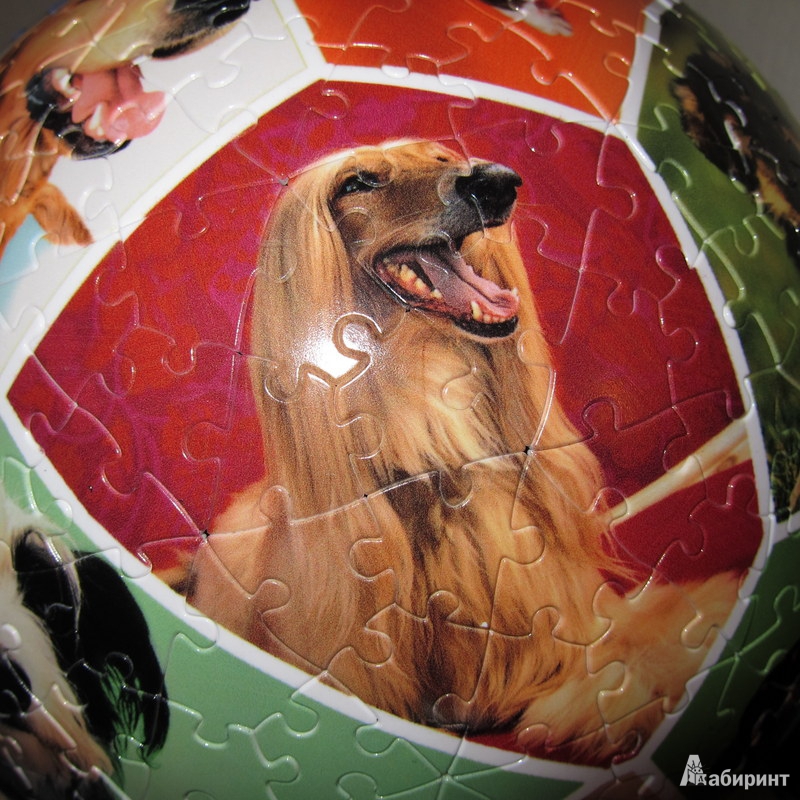 Иллюстрация 4 из 6 для Шаровый пазл "Мир собак" 23 см (А1358-09-1-1) | Лабиринт - игрушки. Источник: Asfour