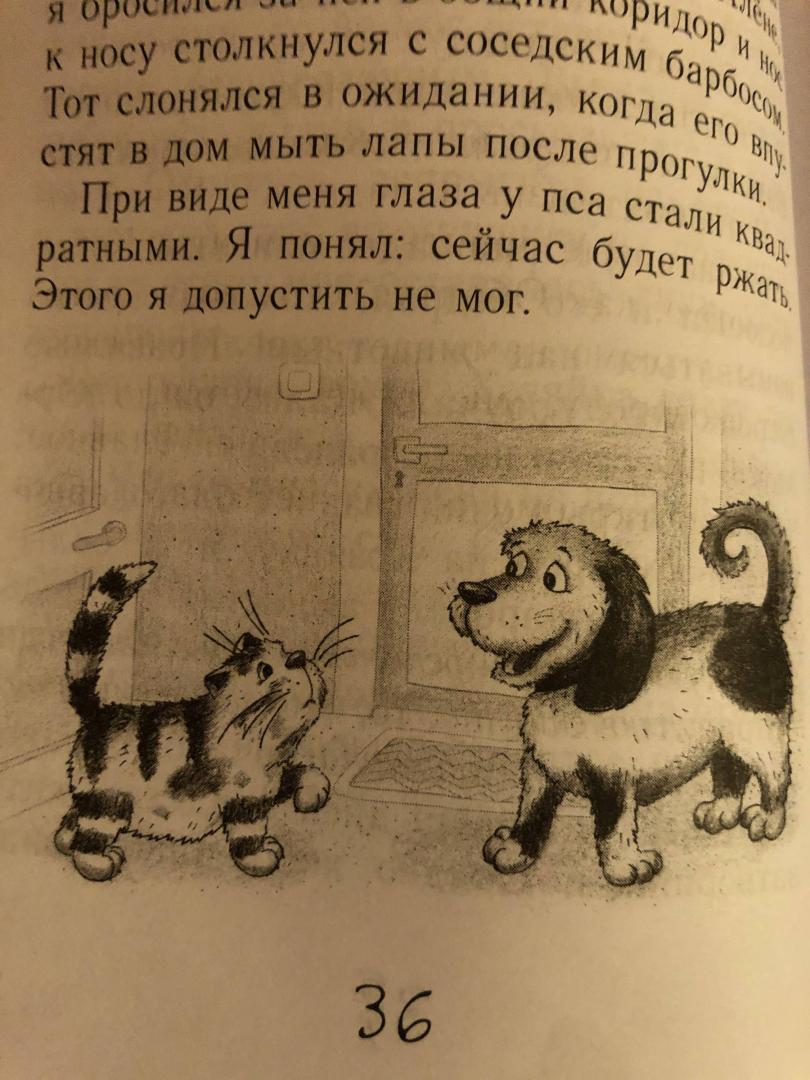 Иллюстрация 28 из 32 для Блог кото-сапиенса - Тамара Крюкова | Лабиринт - книги. Источник: Svetok337