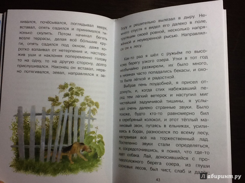 Иллюстрация 24 из 32 для Арктур - гончий пёс - Юрий Казаков | Лабиринт - книги. Источник: Оноприенко  Олег Валерьевич