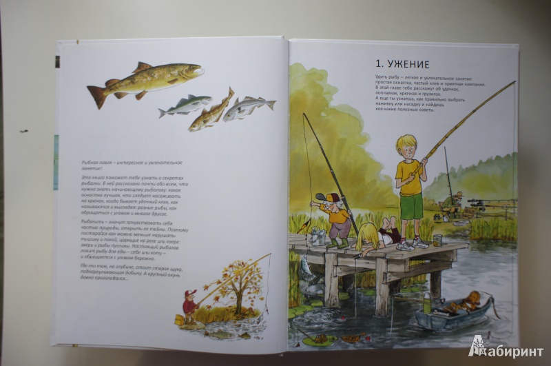 Иллюстрация 9 из 60 для Книга для начинающих великих рыболовов - Нурдквист, Вернер-Карлссон | Лабиринт - книги. Источник: Осипьюк  Марина Сергеевна