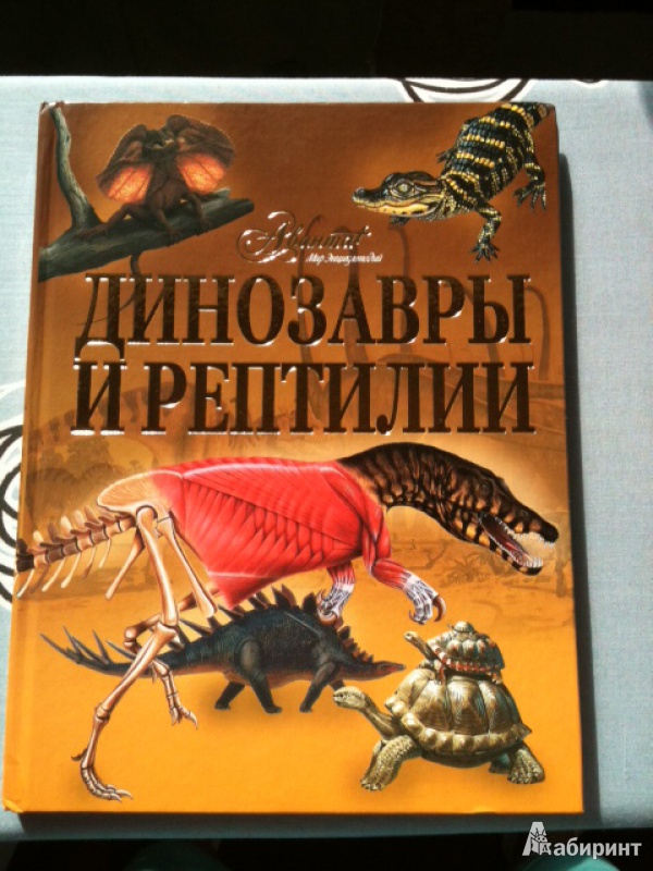 Иллюстрация 3 из 45 для Динозавры и рептилии | Лабиринт - книги. Источник: Каманина  Мария