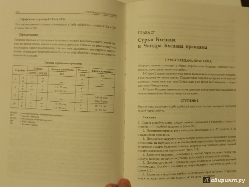 Иллюстрация 25 из 40 для Прояснение Пранаямы. Пранаяма Дипика - Айенгар Беллур Кришнамачар Сундараджа | Лабиринт - книги. Источник: wildwings