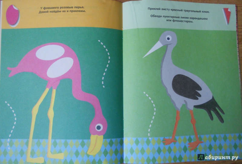 Иллюстрация 3 из 16 для Животные разных стран (с наклейками) | Лабиринт - книги. Источник: Касаткина  Мария Викторовна