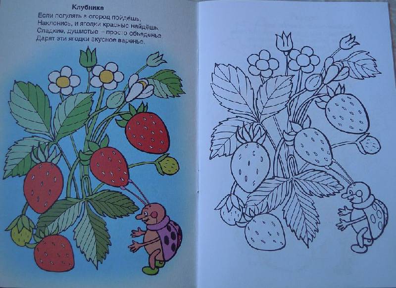 Иллюстрация 18 из 22 для Во саду ли, в огороде - Скребцова, Лопатина | Лабиринт - книги. Источник: Iwolga