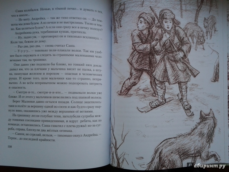 Иллюстрация 52 из 74 для Болотные робинзоны - Софья Радзиевская | Лабиринт - книги. Источник: Olga