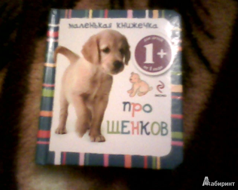 Иллюстрация 2 из 2 для Маленькая книжечка про щенков | Лабиринт - книги. Источник: pudova