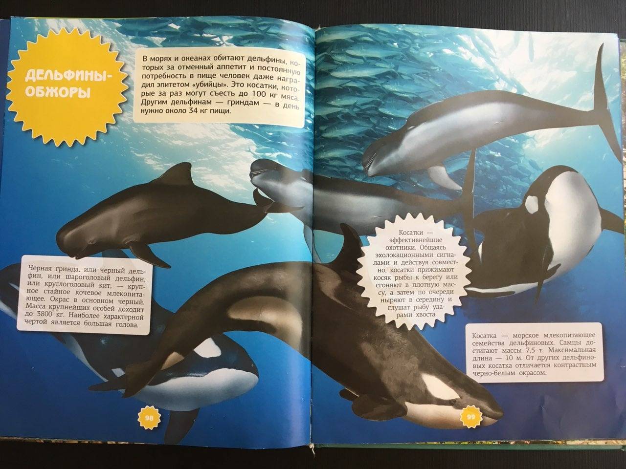 Иллюстрация 18 из 21 для Подводный мир - Ликсо, Третьякова | Лабиринт - книги. Источник: Ольга Тон