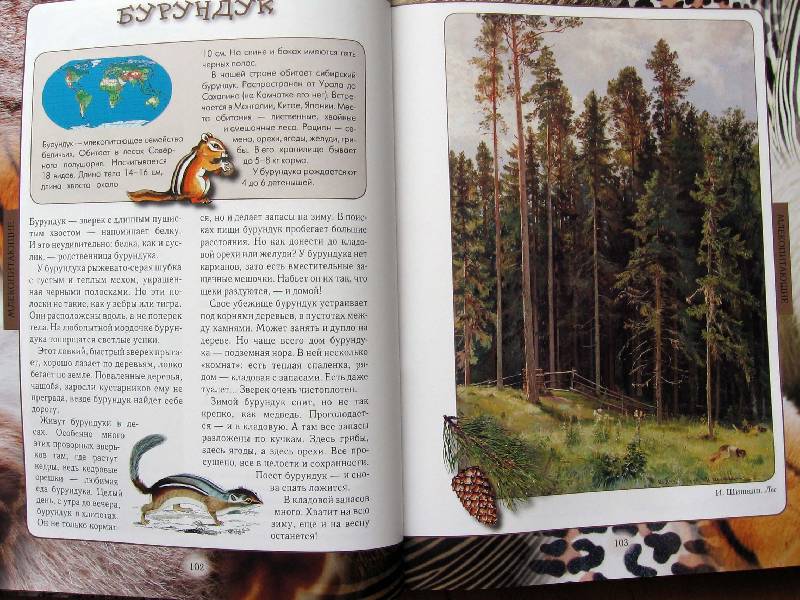 Иллюстрация 33 из 54 для Животный мир нашей планеты - Алексей Клиентов | Лабиринт - книги. Источник: Red cat ;)