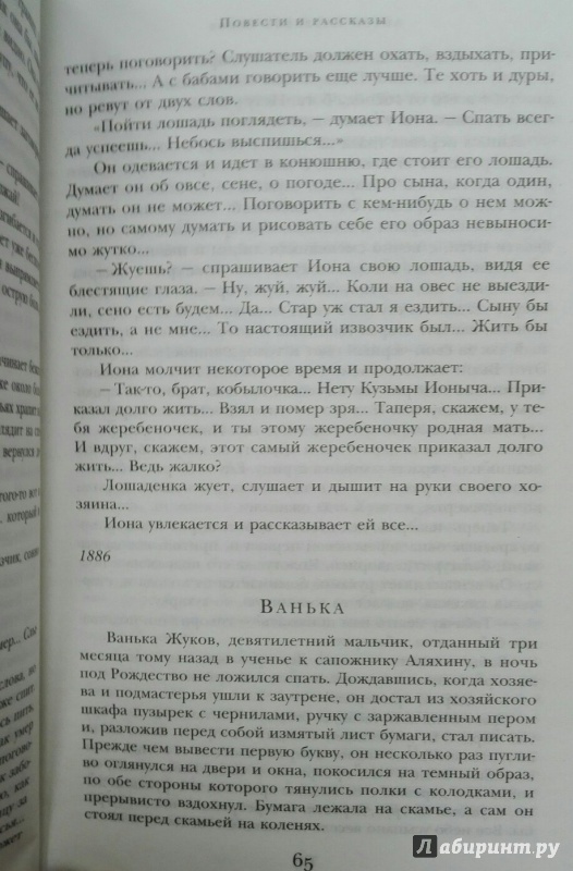 Иллюстрация 19 из 24 для Дама с собачкой - Антон Чехов | Лабиринт - книги. Источник: NiNon