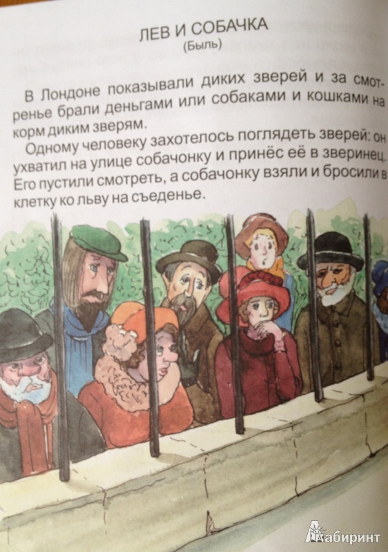 Иллюстрация 5 из 5 для Орёл. Лев и собачка - Лев Толстой | Лабиринт - книги. Источник: cercera