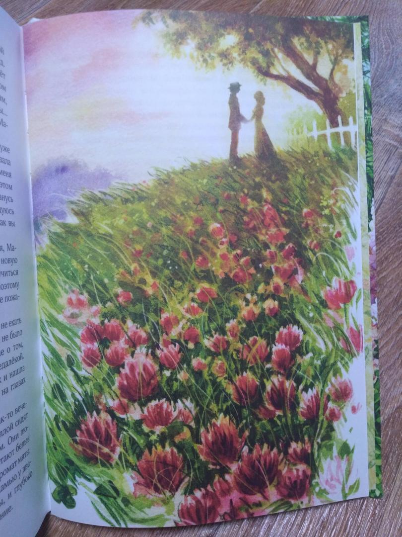 Иллюстрация 93 из 141 для Аня с фермы Зеленые Крыши - Люси Монтгомери | Лабиринт - книги. Источник: Елена