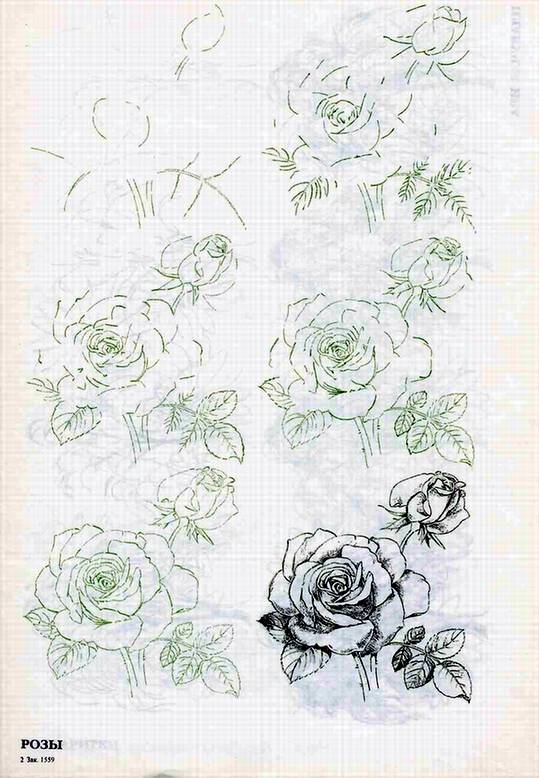 Иллюстрация 11 из 29 для Рисуем 50 цветов и деревьев - Эймис, Эймис | Лабиринт - книги. Источник: Panterra