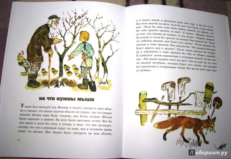Иллюстрация 38 из 48 для О животных и птицах - Лев Толстой | Лабиринт - книги. Источник: Бог в помощь