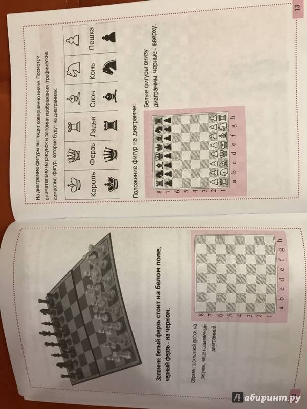 Иллюстрация 5 из 5 для Научите меня играть в шахматы! - Мирослава Литманович | Лабиринт - книги. Источник: Резвых  Мария