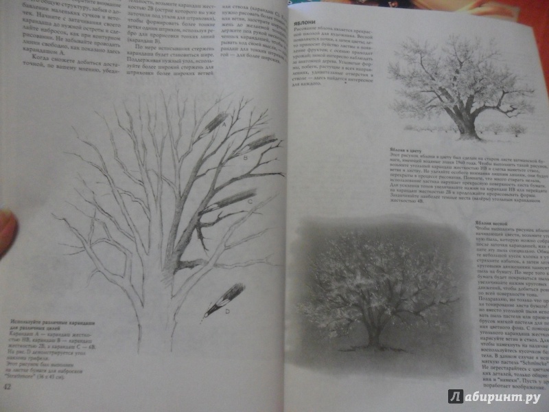Иллюстрация 27 из 61 для Деревья - Стенли Молцмен | Лабиринт - книги. Источник: sleits