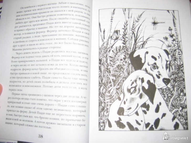 Иллюстрация 3 из 24 для Сто один далматинец - Доди Смит | Лабиринт - книги. Источник: Ded Sergej