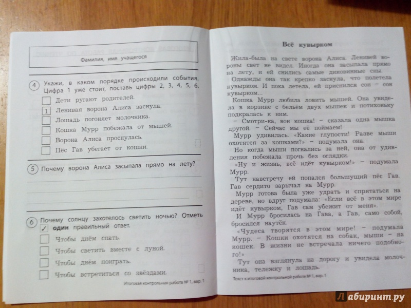 Итоговые контрольные и проверочные работы по чтению 704